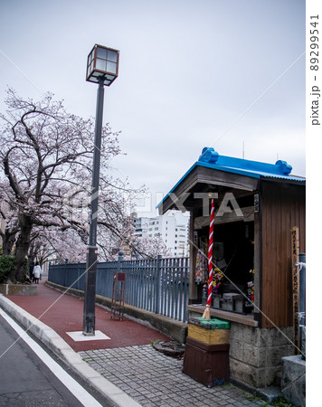 大岡川の桜風景 大岡川の桜風景 89299541