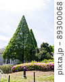 よみうりランド遊園地　豊かな自然　三角の木　東京都稲城市 89300068