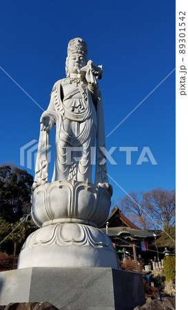埼玉厄除け開運大師 龍泉寺 埼玉厄除け開運大師 龍泉寺 89301542