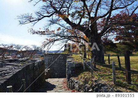 小峰城跡へ行きました #53 小峰城跡へ行きました #53 89301555
