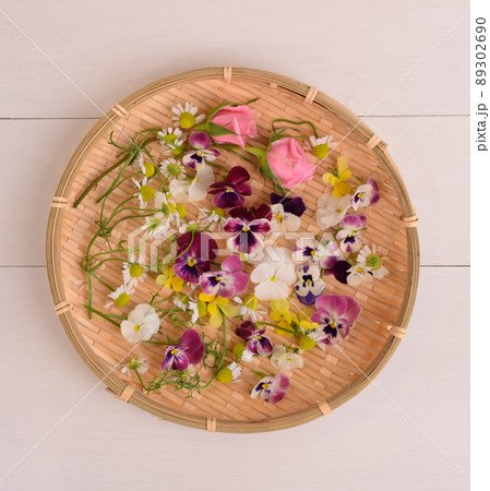 エディブルフラワーの収穫、ビオラとカモミールと薔薇の花の収穫、食用花の花 89302690