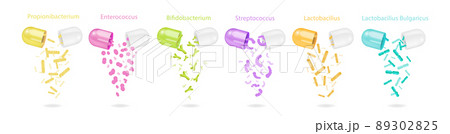 Probiotics Capsules Set 89302825