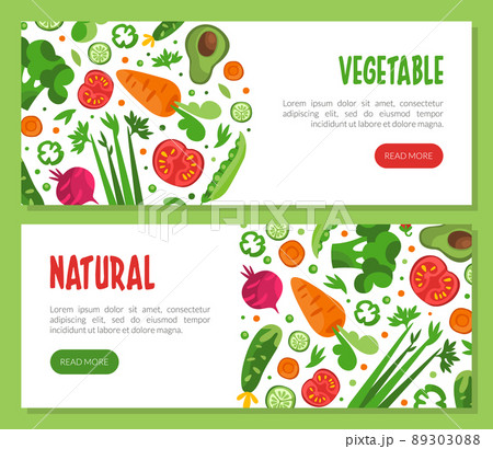 Fresh Vegetable Design with Ripe Harvested Agricultural Crop Vector Web Template 89303088