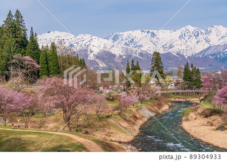 （長野県）桜が咲いた大出公園、北アルプスの展望 89304933