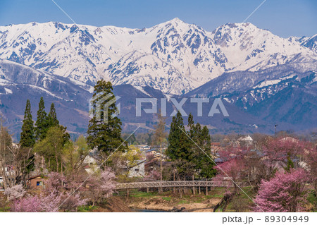 （長野県）桜が咲いた大出公園、北アルプスの展望 89304949