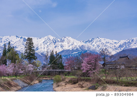 （長野県）桜が咲いた大出公園、北アルプスの展望 89304984