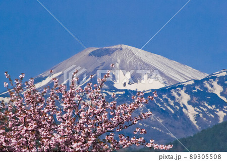 福島の吾妻小富士残雪の雪形 雪うさぎ 福島の吾妻小富士残雪の雪形 雪うさぎ 89305508