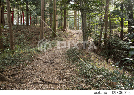 野田城跡 本丸と二の丸間の土橋 野田城跡 本丸と二の丸間の土橋 89306012