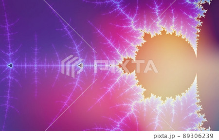 フラクタルのマンデルブロ集合 89306239