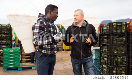 Portrait of two harvestmen with special baskets on their backs talking while preparing for harvesting artichokes on farm plantation Portrait of two harvestmen with special baskets on their backs talking while preparing for harvesting artichokes on farm plantation 89306512