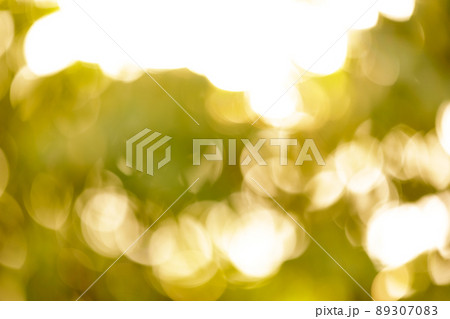 玉ボケ　キラキライメージ　黄色 89307083