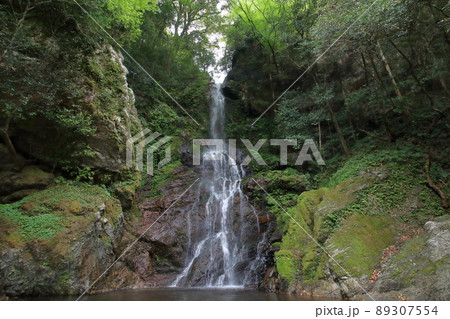 平家の滝　（高知県　高知市）	 89307554