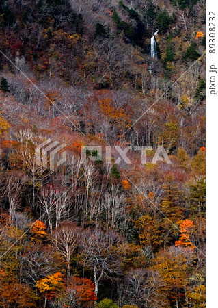 福島県吾妻スカイライン土湯峠付近から幕川温泉の幕滝を望む 89308232