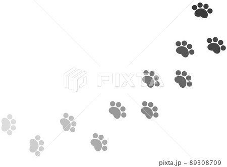 動物が歩いた形跡の肉球イラスト 動物が歩いた形跡の肉球イラスト 89308709