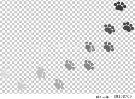 Paw illustration of evidence of animals walking Paw illustration of evidence of animals walking 89308709