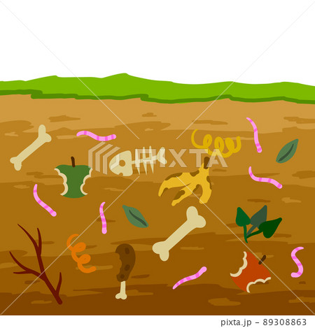 Compost soil. Layer of earth in section with worms. Farming and food waste. Ecological humus. 89308863