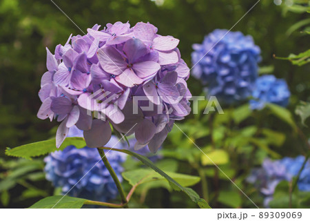 200720城山nk002 200720城山nk002 89309069