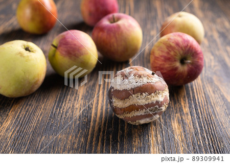 Apple with mold and fresh apples on wooden background - mold growth and food spoilage concept 89309941
