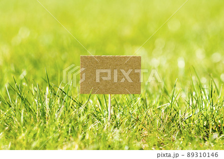 Blank mini paper pointer in a green grass 89310146