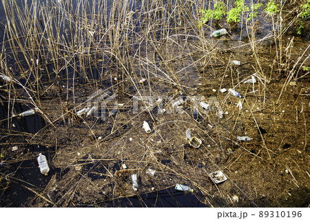 池へのゴミ投棄 89310196