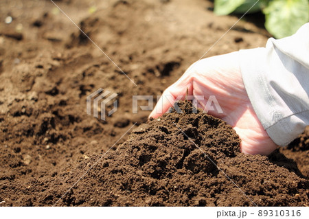 畑の土 89310316