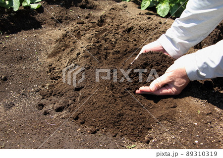 畑の土 89310319