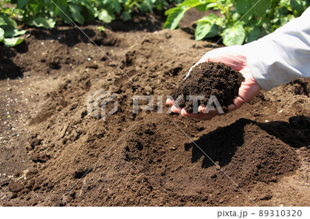 畑の土 89310320