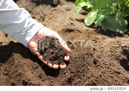 畑の土 89310324