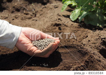肥料　畑 89310584