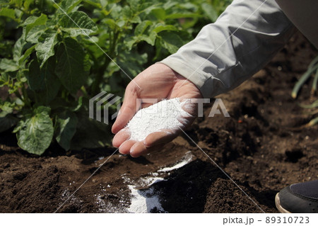 畑に石灰をまく 畑に石灰をまく 89310723