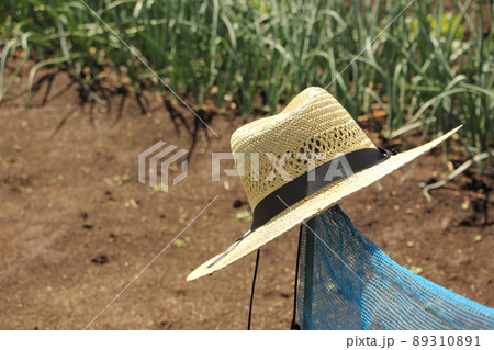 畑仕事に麦わら帽子 89310891