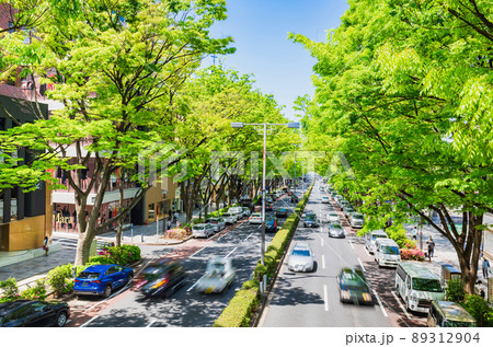 東京　新緑の表参道 89312904