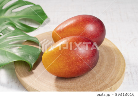 【トロピカルフルーツ】完熟マンゴー 89313016