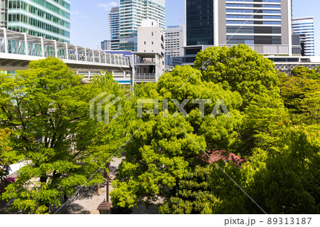 東京港区、浜松町から竹芝付近の景色 東京港区、浜松町から竹芝付近の景色 89313187