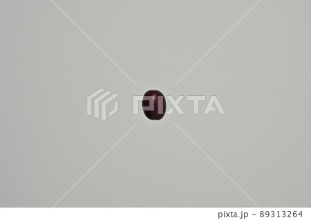 北海道産の「さくら豆」という豆の一粒真俯瞰撮影 北海道産の「さくら豆」という豆の一粒真俯瞰撮影 89313264