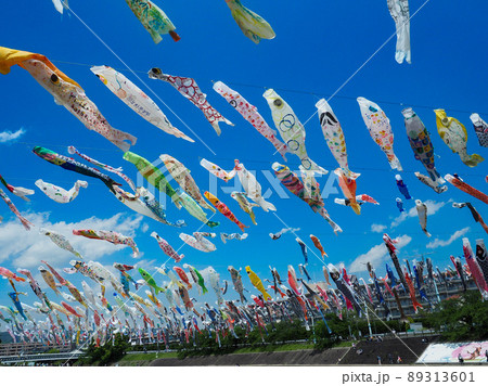 鯉のぼり 鯉のぼり 89313601