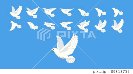 Pigeon animation. Bird motion wings in heaven, birds sequence frame sprite cycle movement flight feather 2d animated dove flying migratory pigeons, cartoon neat vector illustration 89313755