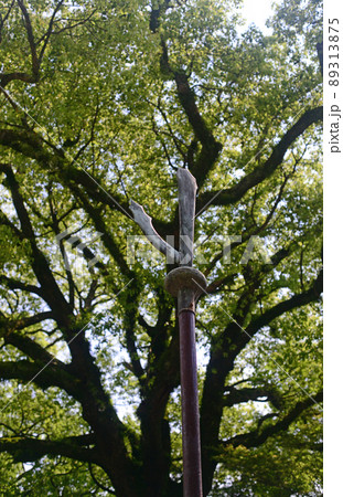 穴織宮　伊居太神社参道-2 89313875