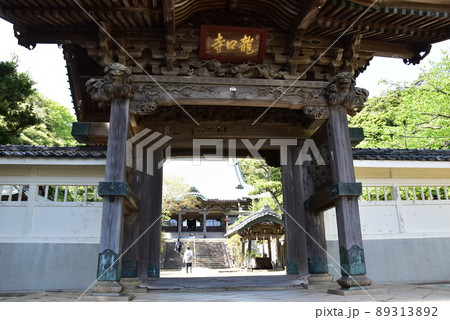 神奈川県藤沢市 龍口寺山門と本堂と新緑 神奈川県藤沢市 龍口寺山門と本堂と新緑 89313892