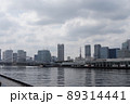 東京　隅田川 89314441