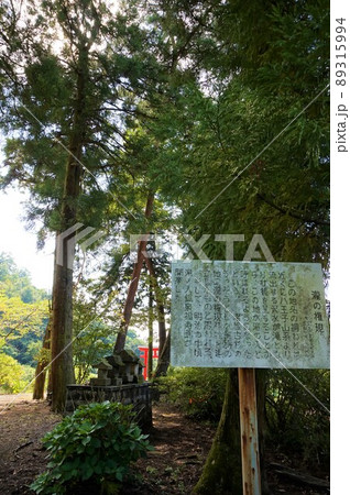 滝野神社　群馬　藪塚 89315994