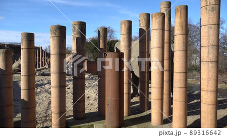 African Elephant Baby And Mom. Animal world. Elephant family mom and baby walk on their territory in sunny weather African Elephant Baby And Mom. Animal world. Elephant family mom and baby walk on their territory in sunny weather 89316642