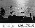 夕日の海岸を行くⅮ51 89317515