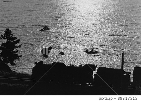 夕日の海岸を行くⅮ51 89317515