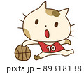 バスケをするねこ 89318138