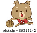 バスケをする犬 89318142