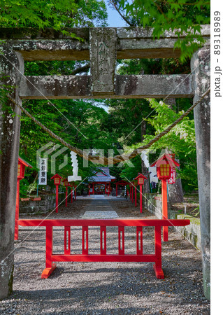 「焼酎」文字日本最古　郡山八幡神社 89318989