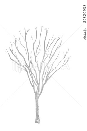 背景のパーツ　木の幹のシルエット　欅 89320938