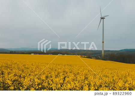 Yellow blooming rapeseed fields. Countryside landscape with a gray sky, wind turbines. Energy sources bright colorful spring and summer landscape Yellow blooming rapeseed fields. Countryside landscape with a gray sky, wind turbines. Energy sources bright colorful spring and summer landscape 89322960