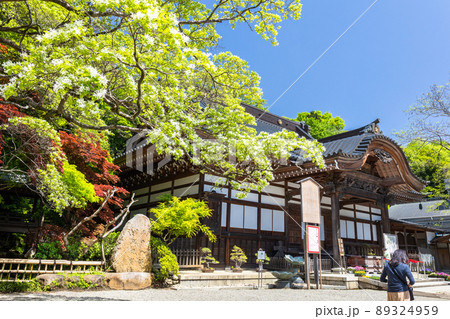 なんじゃもんじゃの木と本堂 なんじゃもんじゃの木と本堂 89324959